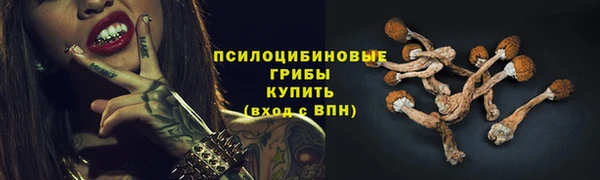 прущий лед Алексин