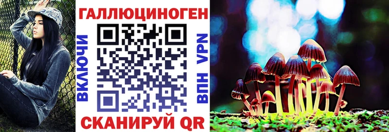Псилоцибиновые грибы GOLDEN TEACHER купить цена Данков